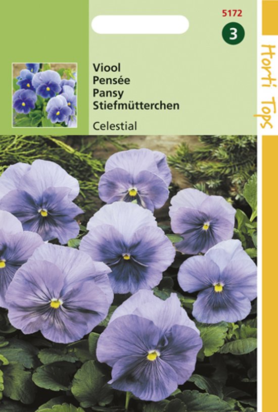 Garten-Stiefmtterchen Celestial (Viola) 300 Samen